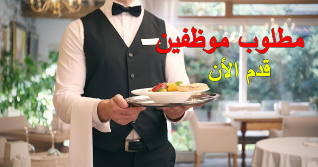مطلوب موظفين ستيوَرد - مساعد معلم مشاوي - للعمل في مطعم مشاوي (الرابية - عمّان)